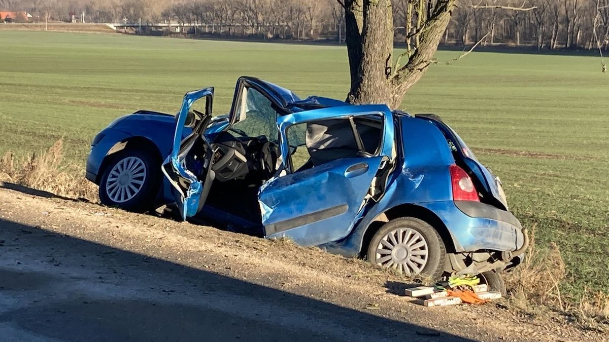 Dvě ženy zemřely na Znojemsku po nárazu auta do stromu